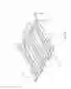 Fig. 10 - Electrical receptacle connector