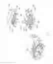 Fig. 04 - Electrical connector having detecting contact