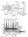 Fig. 13 - High brightness multijunction diode stacking