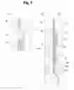Fig. 04 - Ignition plug and plasma generation device
