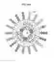 Fig. 19 - Rotating armature, rotating electric machine comprising a plurality of coil portions, and rotating armature manufacturing method