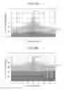 Fig. 13 - Amplifying device
