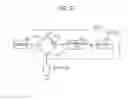 Fig. 22 - Amplifying device