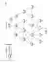 Fig. 02 - Dynamic assignment of frequency hopping sequences in a communication network