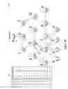 Fig. 13 - Dynamic assignment of frequency hopping sequences in a communication network