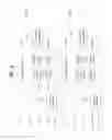 Fig. 19 - Broadcast-signal transmitter/receiver and method for transmitting/receiving broadcast signals