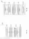Fig. 07 - Common reference signal design based on semi-uniform pilot spacing and orthogonal cover code
