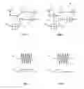 Fig. 02 - Duplexer