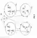 Fig. 08 - Method and system for time division duplex communication in wireless networks
