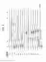Fig. 03 - Communication device, pulse signal delay adjustment method and communication system