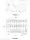 Fig. 04 - Method for certifying and authentifying security documents based on a measure of the relative variations of the different processes involved in its manufacture