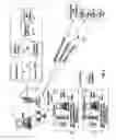 Fig. 06 - Distributing Messages in a Network Environment