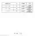 Fig. 13 - Information processing system and information processing method