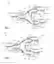 Fig. 04 - Method and apparatus for network interconnection