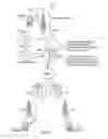 Fig. 03 - Multi-nonce enabled interest packet design for named-data networking