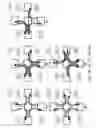 Fig. 04 - Probe Routing in a Network