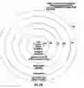 Fig. 55 - Distributing Messages in a Network Environment