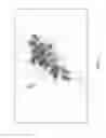 Fig. 03 - Location data for defining places and traffic