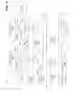 Fig. 06 - Trusted ephemeral identifier to create a group for a service and/or to provide the service