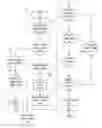 Fig. 01 - Identity attestation of a minor via a parent