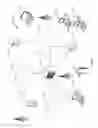 Fig. 08 - Identity attestation of a minor via a parent