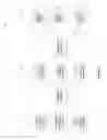 Fig. 05 - Presenting authorized data to a target system