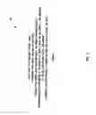 Fig. 02 - Embedded script security using script signature validation