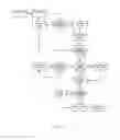 Fig. 16 - Method and system for rendering digital content across multiple client devices
