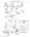 Fig. 01 - Publish/subscribe mashups for social networks