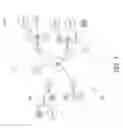 Fig. 12 - Social media with multi-level relationships