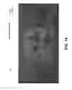 Fig. 17 - Authenticatable Object Incorporating An Image That Appears To Float Above A Plane