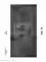 Fig. 18 - Authenticatable Object Incorporating An Image That Appears To Float Above A Plane