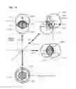 Fig. 17 - Photographing apparatus and control method for photographing apparatus
