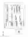 Fig. 41 - Imaging device for determining behavior of a brightness adjustment of an imaging optical system and non-transitory computer-readable storage medium