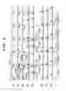 Fig. 03 - Image capturing apparatus and driving method of image sensor
