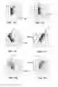 Fig. 16 - System for and method of generating user-selectable novel views on a viewing device