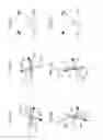 Fig. 23 - Stereoscopic display device
