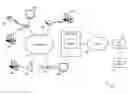 Fig. 01 - Multiple stream video compression in multiple bitrate video encoding