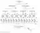 Fig. 01 - Synchronizing program presentation