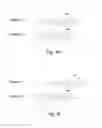 Fig. 10 - Synchronizing program presentation
