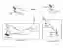 Fig. 02 - Mechanism for transference of media meta-data