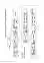 Fig. 23 - Method and apparatus for minimizing timing artifacts in remultiplexing