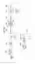 Fig. 40 - APPARATUS FOR TRANSMITTING BROADCAST SIGNALS, APPARATUS FOR RECEIVING BROADCAST SIGNALS, METHOD FOR TRANSMITTING BROADCAST SIGNALS AND METHOD FOR RECEIVING BROADCAST SIGNALS