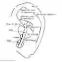 Fig. 01 - Acoustic device