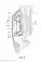 Fig. 04 - Headphone type acoustic apparatus
