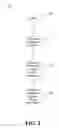 Fig. 03 - Contextually aware dynamic group formation