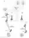 Fig. 01 - Proactive admission control for multi-coverage D2D communications