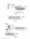 Fig. 03 - Exploiting almost blank subframes for inter-cell scheduling