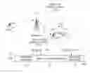 Fig. 01 - Scheme for transmitting and receiving information in wireless communication system