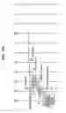 Fig. 11 - Wireless communication system and wireless communication method